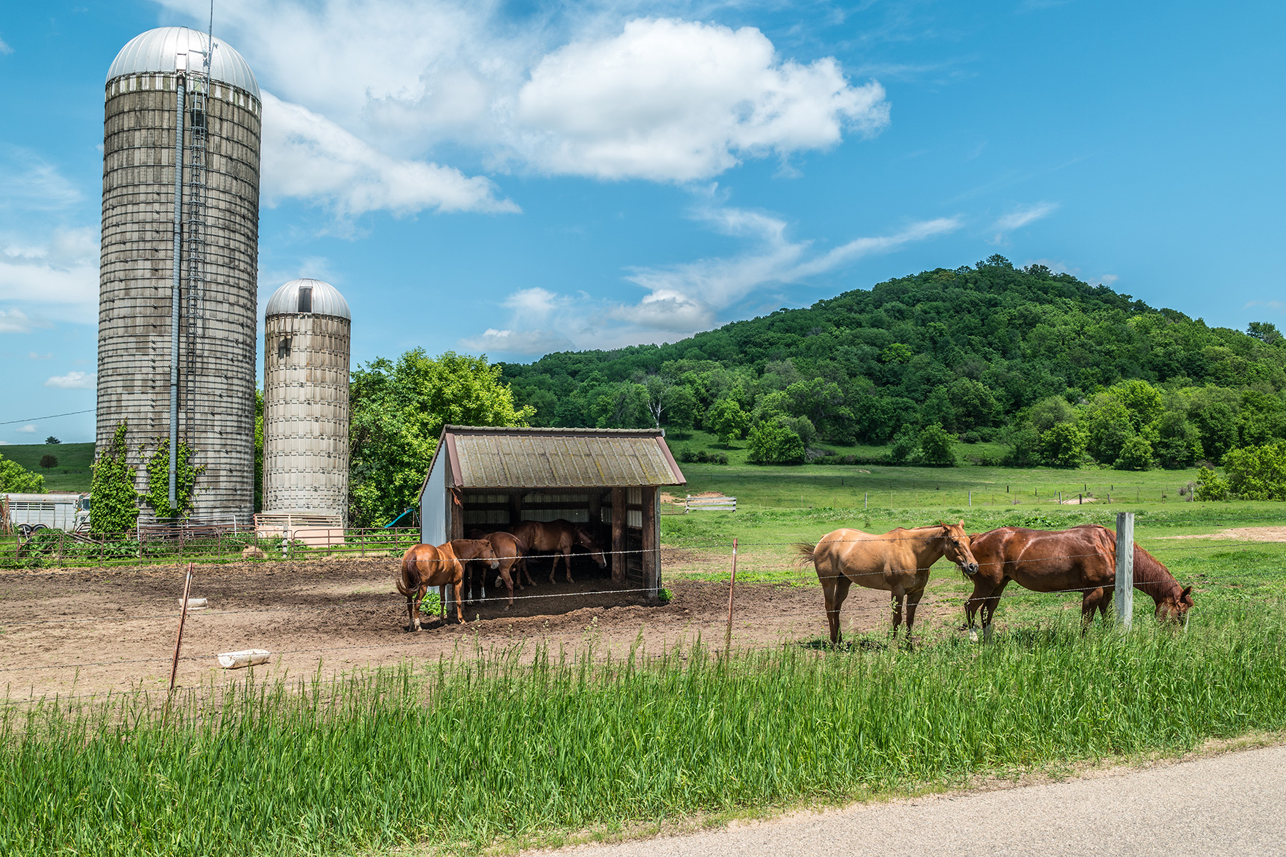 Best Barns, Coops, and Hutches for Homesteads